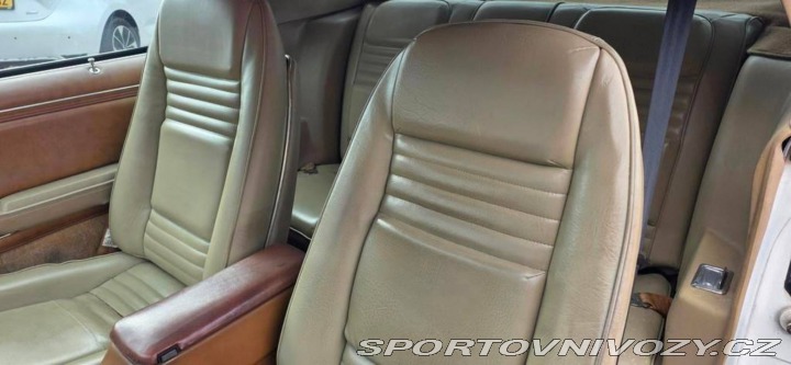 Pontiac Firebird Trans Am 1980