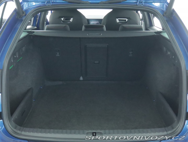 Škoda Octavia RS RS RS 2.0 TSI 2021