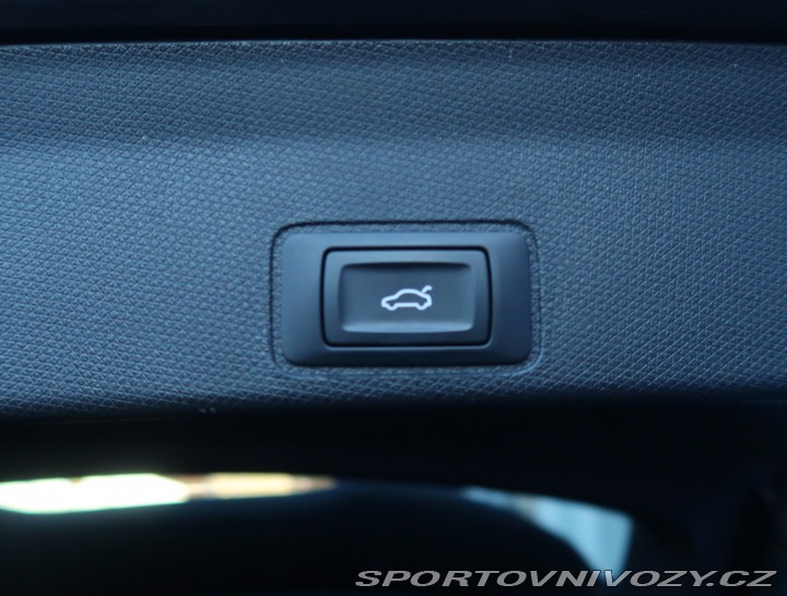 Cupra Terramar 2.0 TSI 4Drive 2025