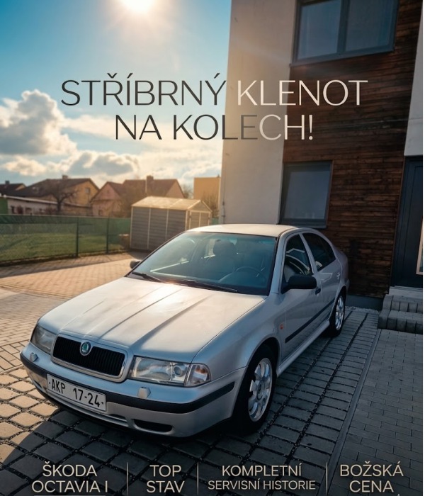 Škoda Ostatní modely Octavia 1.8t 193kw