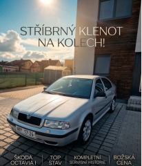 Škoda  Octavia 1.8t 193kw