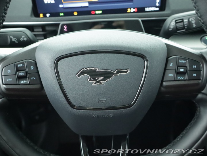 Ford Mustang Mach-E  Standard Range RW 2021