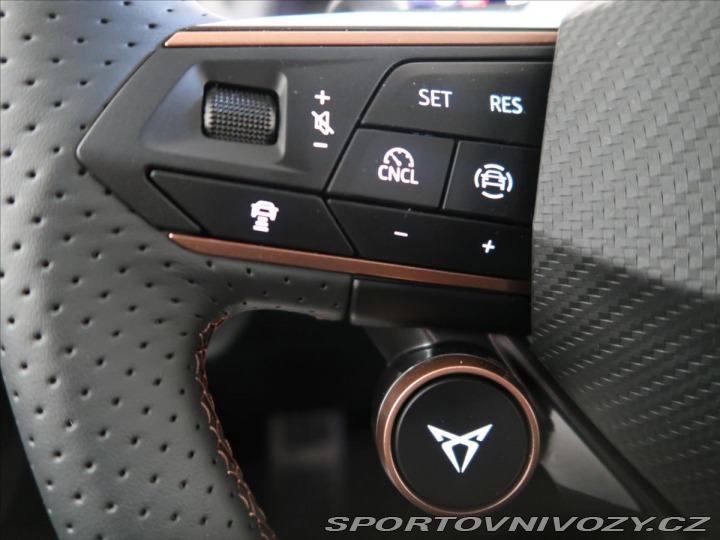 Cupra Terramar 2,0 TSi 265k MATRIX VZ DS 2024