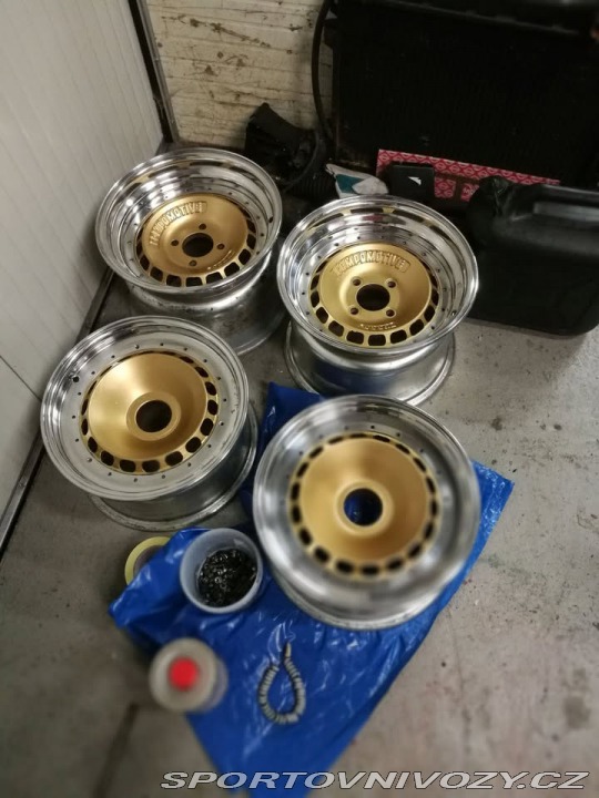 Formule Ostatní modely Shrike P15 1984