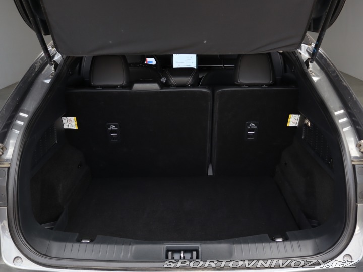 Ford Mustang Mach-E Standard Range RW 2024