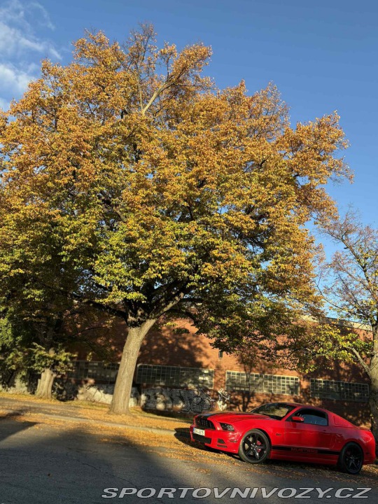 Ford Mustang GT 5.0 V8 2013