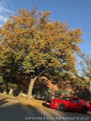 Ford Mustang GT 5.0 V8 2013