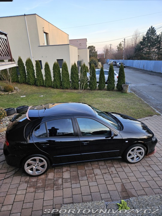 Seat Leon Cupra 4 2.8 VR6 4x4 2002