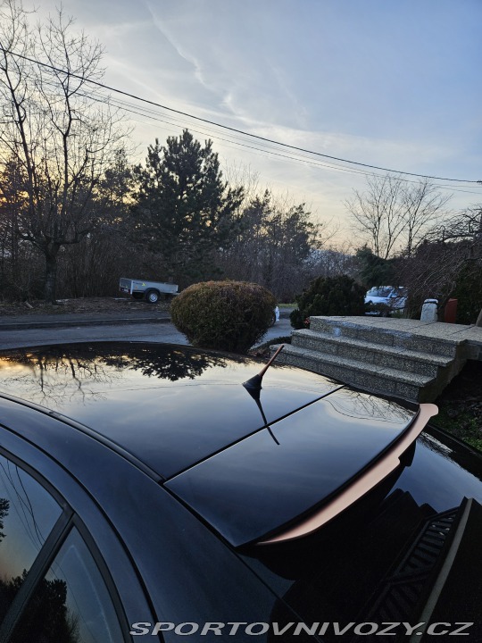 Seat Leon Cupra 4 2.8 VR6 4x4 2002