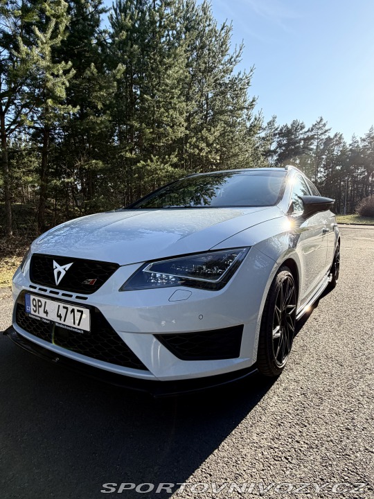 Cupra Leon 290 2016
