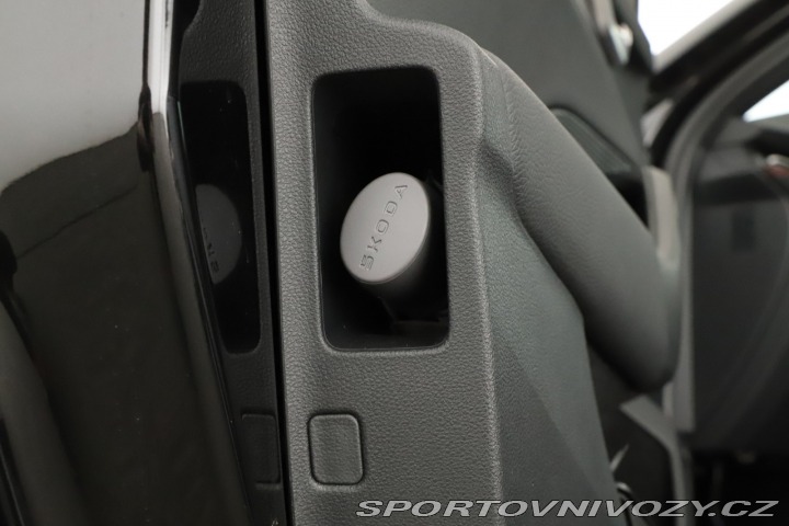 Škoda Octavia RS RS RS 2.0 TSI 2025