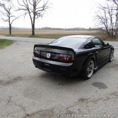 Ford Mustang GT 4.6 224kw Eleanor 2008