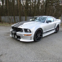 Ford Mustang GT 4.6 224kw Eleanor 2005