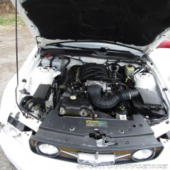 Ford Mustang GT 4.6 224kw, Retro 2006