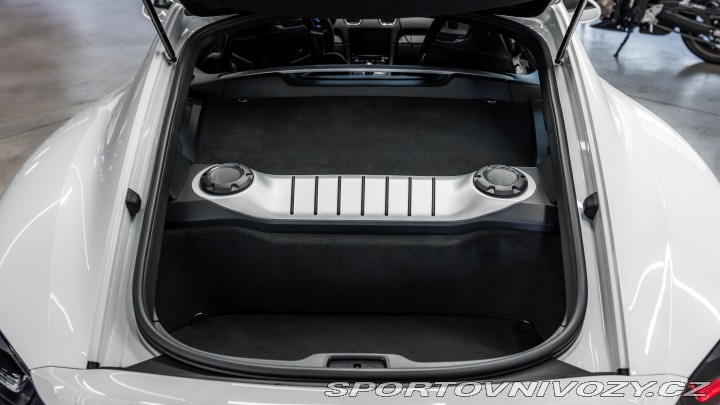 Porsche Cayman GT4, ZÁRUKA 2020