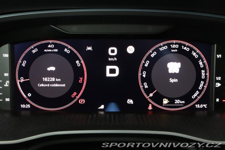 Škoda Octavia RS RS RS 2.0 TSI 2024