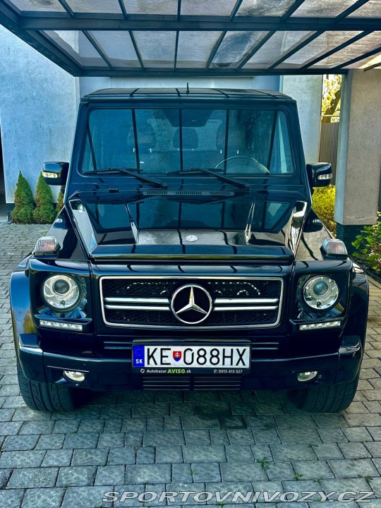 Mercedes-Benz Ostatní modely  2009