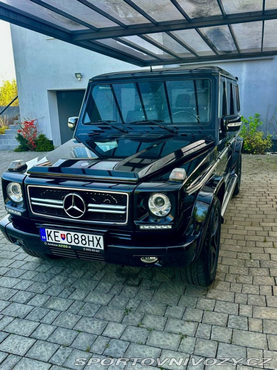 Mercedes-Benz Ostatní modely  2009