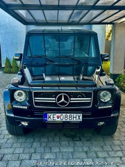 Mercedes-Benz Ostatní modely  2009