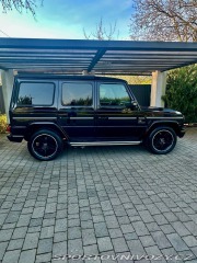 Mercedes-Benz Ostatní modely  2009