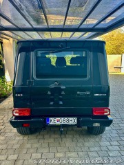 Mercedes-Benz Ostatní modely  2009