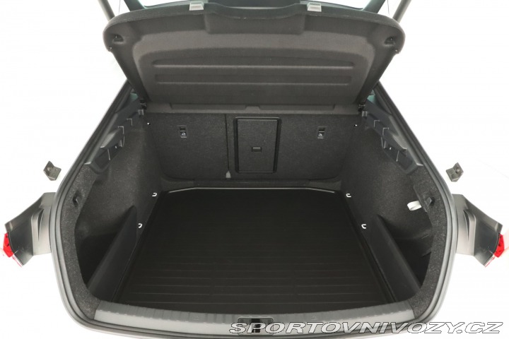 Škoda Octavia RS RS RS 2.0 TSI 2025