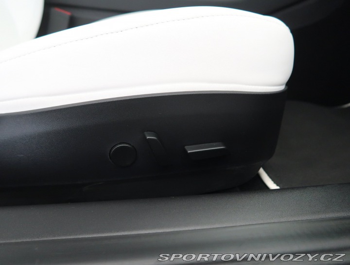 Tesla Model 3 Std Range Plus 52kWh 2020