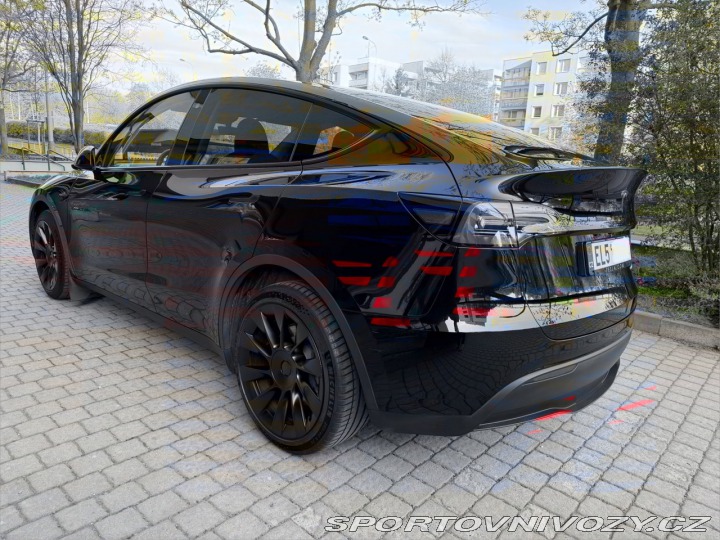 Tesla Model Y AWD Long Range Dual Motor 2024