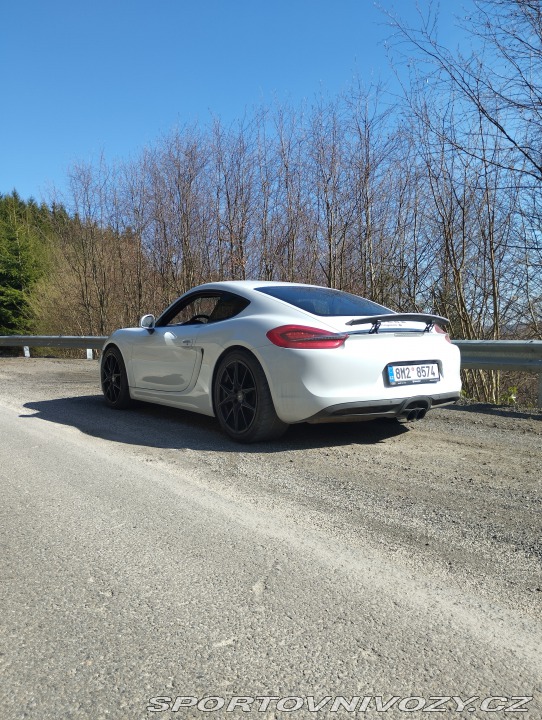 Porsche Cayman  2015