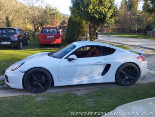 Porsche Cayman  2015