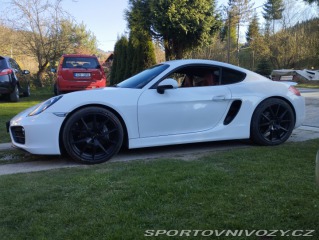 Porsche Cayman  2015