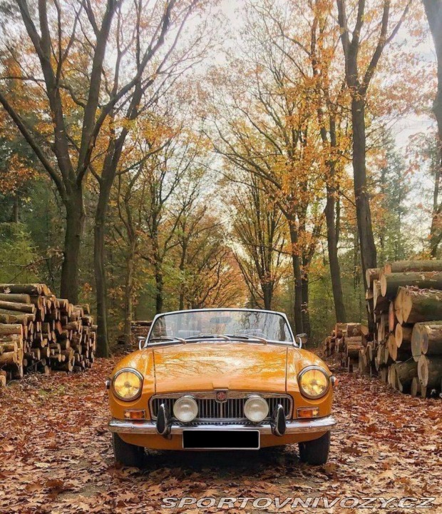 MG MGB  1971