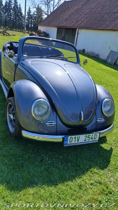 Volkswagen Brouk Speedster 1973