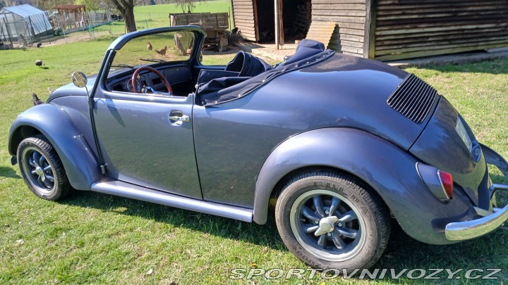 Volkswagen Brouk Speedster 1973