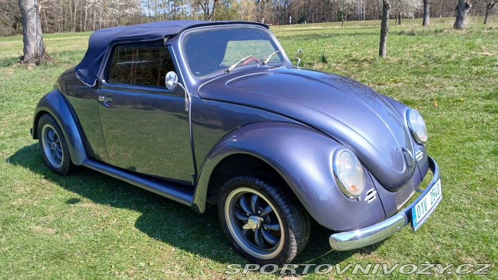 Volkswagen Brouk Speedster 1973