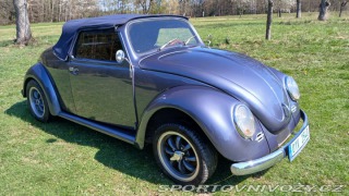 Volkswagen Brouk Speedster 1973