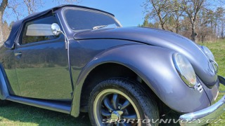 Volkswagen Brouk Speedster 1973