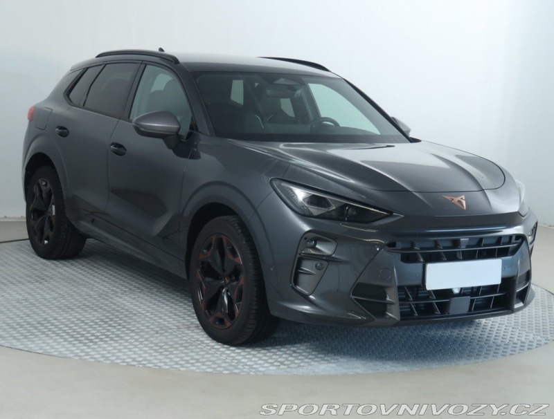 Cupra Terramar 2.0 TSI 4Drive