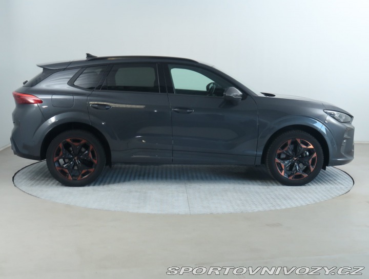 Cupra Terramar 2.0 TSI 4Drive 2025