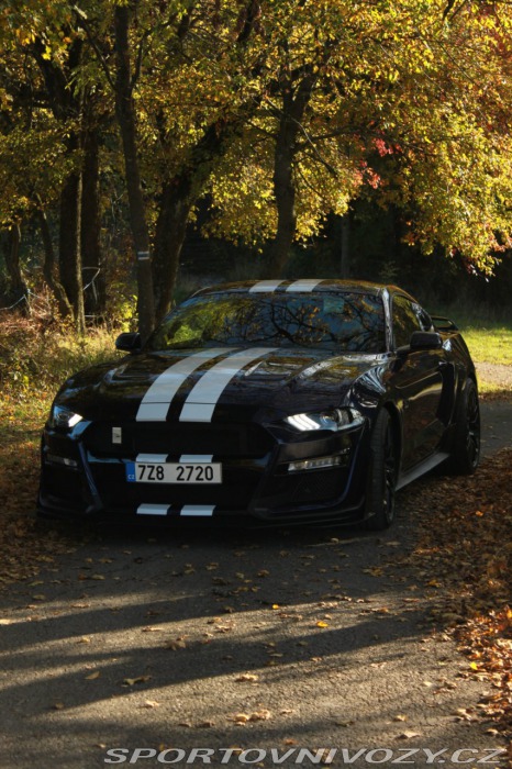 Ford Mustang 5,0 GT V8