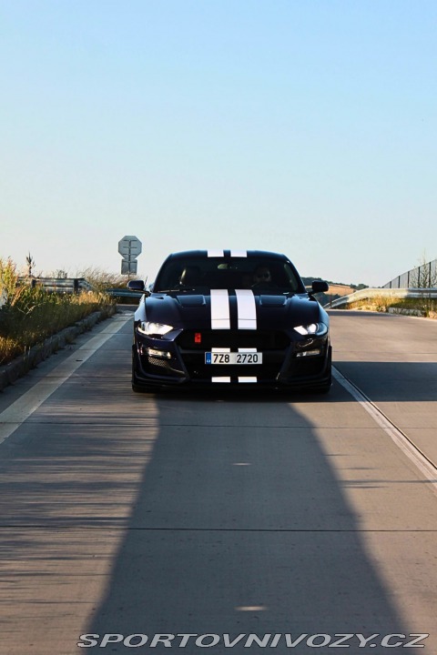 Ford Mustang 5,0 GT V8 2019