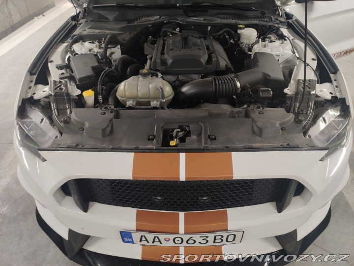 Ford Mustang 2.3L Ecoboost GT350 2020