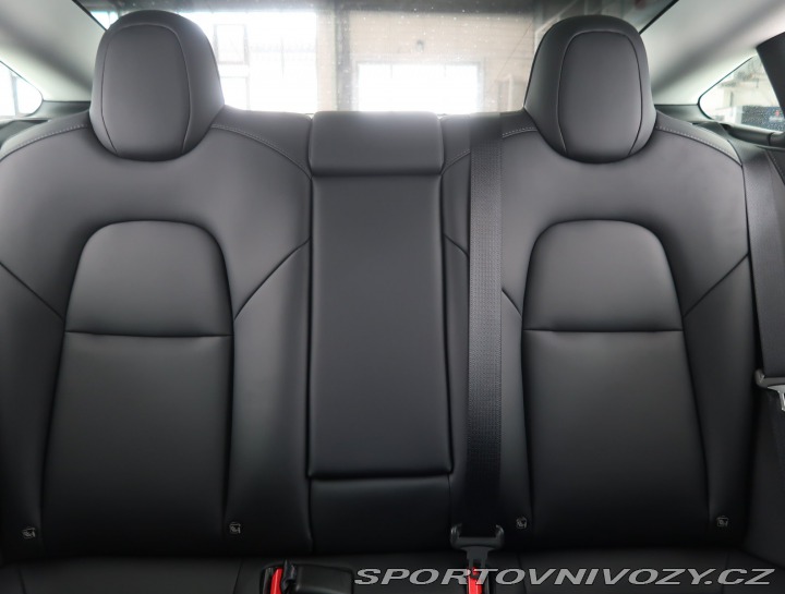 Tesla Model 3 Performance 79kWh 2023