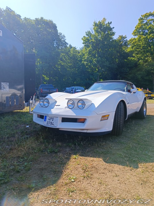 Chevrolet Corvette  1982