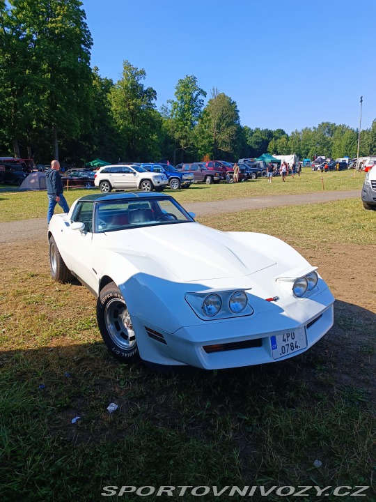 Chevrolet Corvette  1982