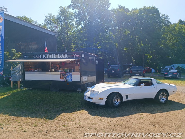 Chevrolet Corvette  1982