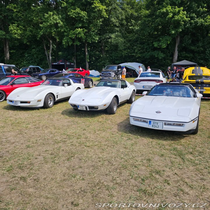 Chevrolet Corvette  1982