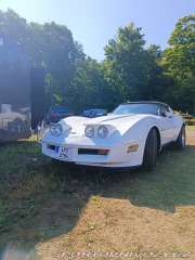 Chevrolet Corvette  1982