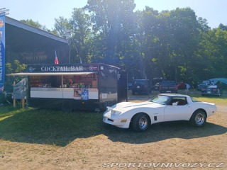 Chevrolet Corvette  1982