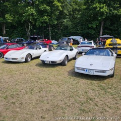Chevrolet Corvette  1982
